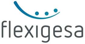 Logo 'flexigesa' in grauer Schrift mit blauem gebogenen Lächeln und drei Punkten darüber.