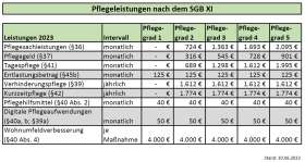 Leistungen der Pflegeversicherung Tabelle mit Zahlen zur Pflegeversicherung